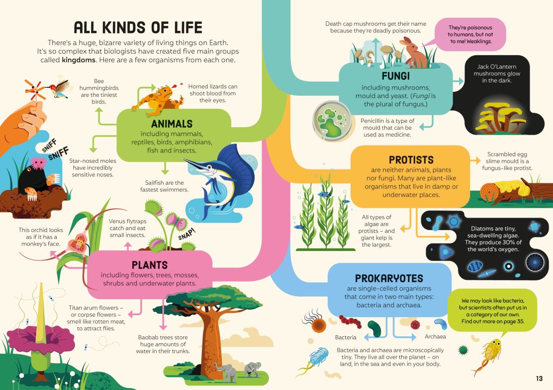 USBORNE BIOLOGY FOR BEGINNERS