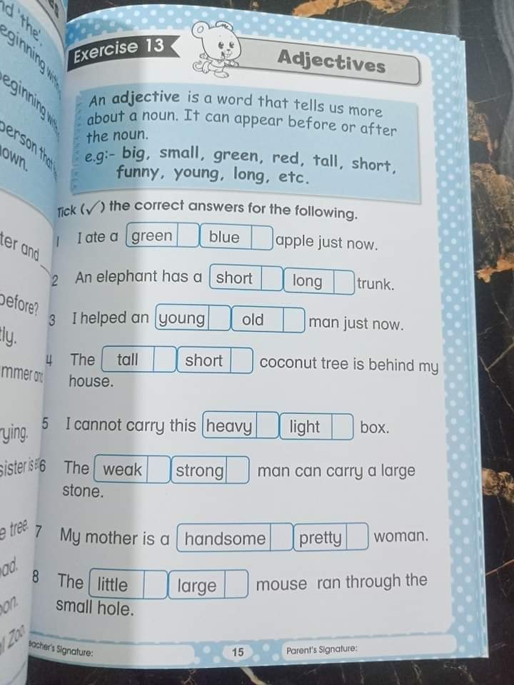 GRAMMAR MADE SIMPLE FOR PRESCHOOLERS BOOK 2