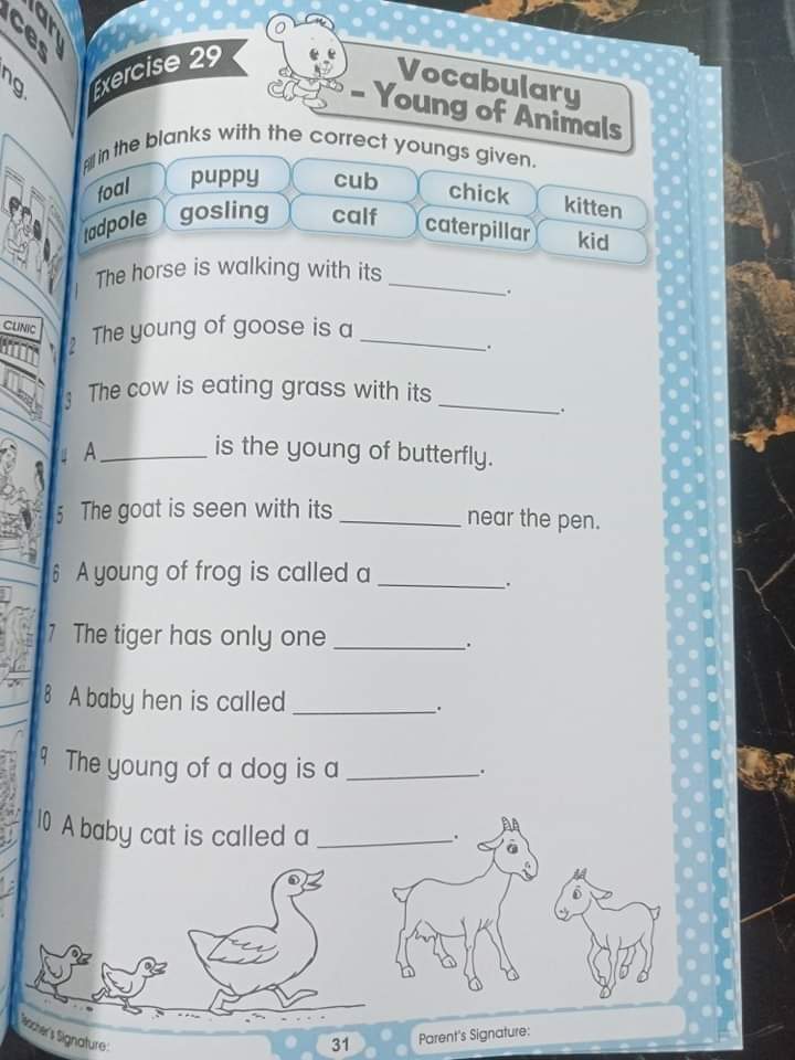 GRAMMAR MADE SIMPLE FOR PRESCHOOLERS BOOK 2
