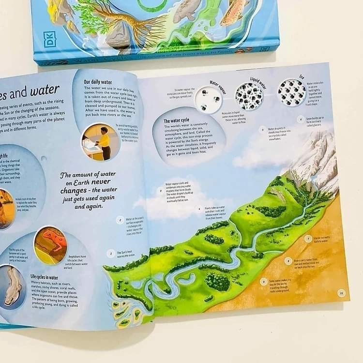 WATER CYCLES (DK LIFE CYCLE)