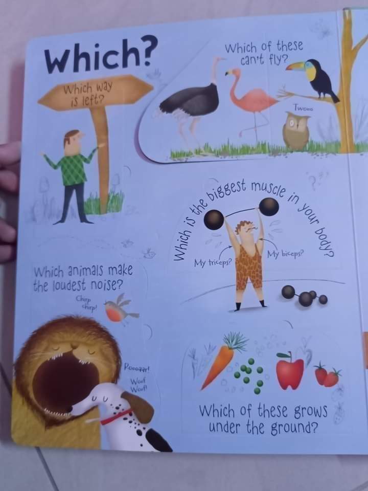 USBORNE LIFT THE FLAP QUESTIONS ANSWERS