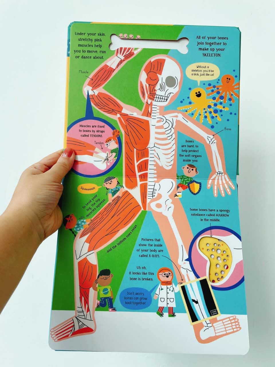 Usborne Step inside Science: Your Body