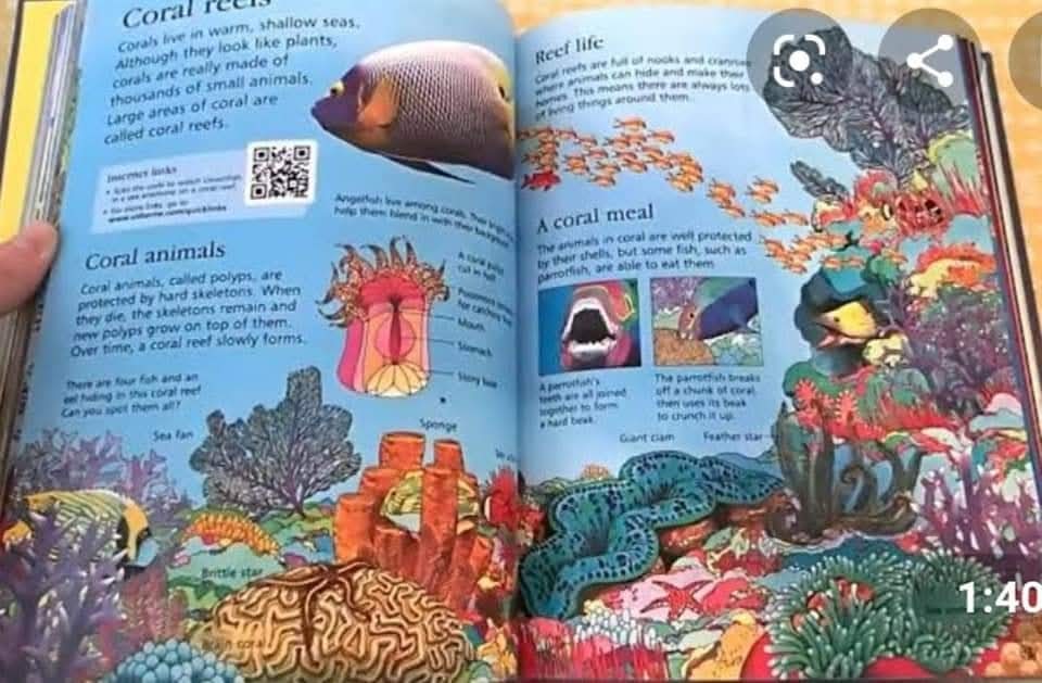 THE USBORNE CHILDREN ENCYCLOPEDIA