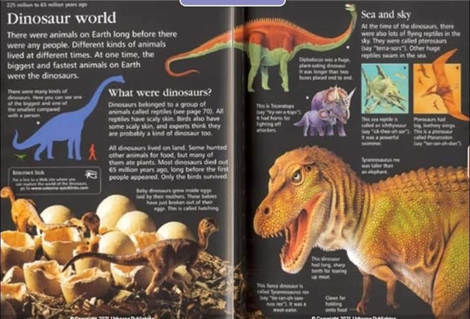 THE USBORNE CHILDREN ENCYCLOPEDIA