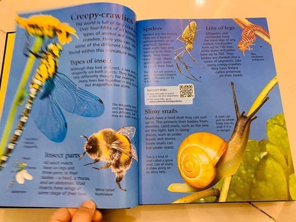 THE USBORNE CHILDREN ENCYCLOPEDIA