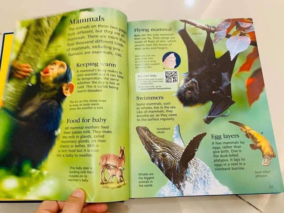 THE USBORNE CHILDREN ENCYCLOPEDIA