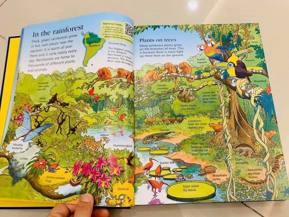THE USBORNE CHILDREN ENCYCLOPEDIA