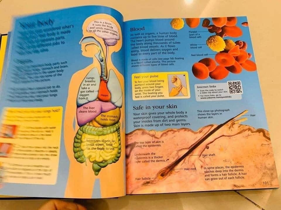 THE USBORNE CHILDREN ENCYCLOPEDIA