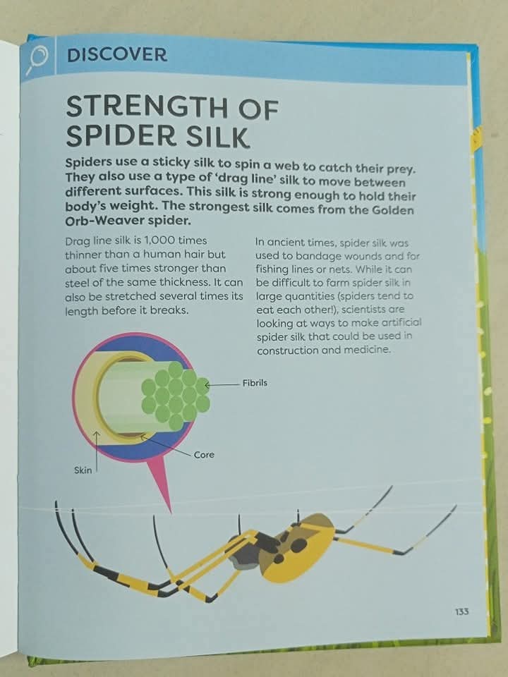 STEAM TALES (THE WIZARD OF OZ)