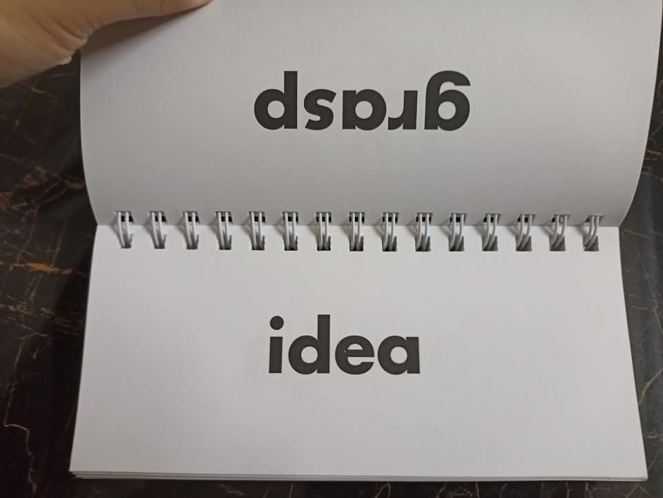 FLIP FLASH PHONICS (SYNONYMS)