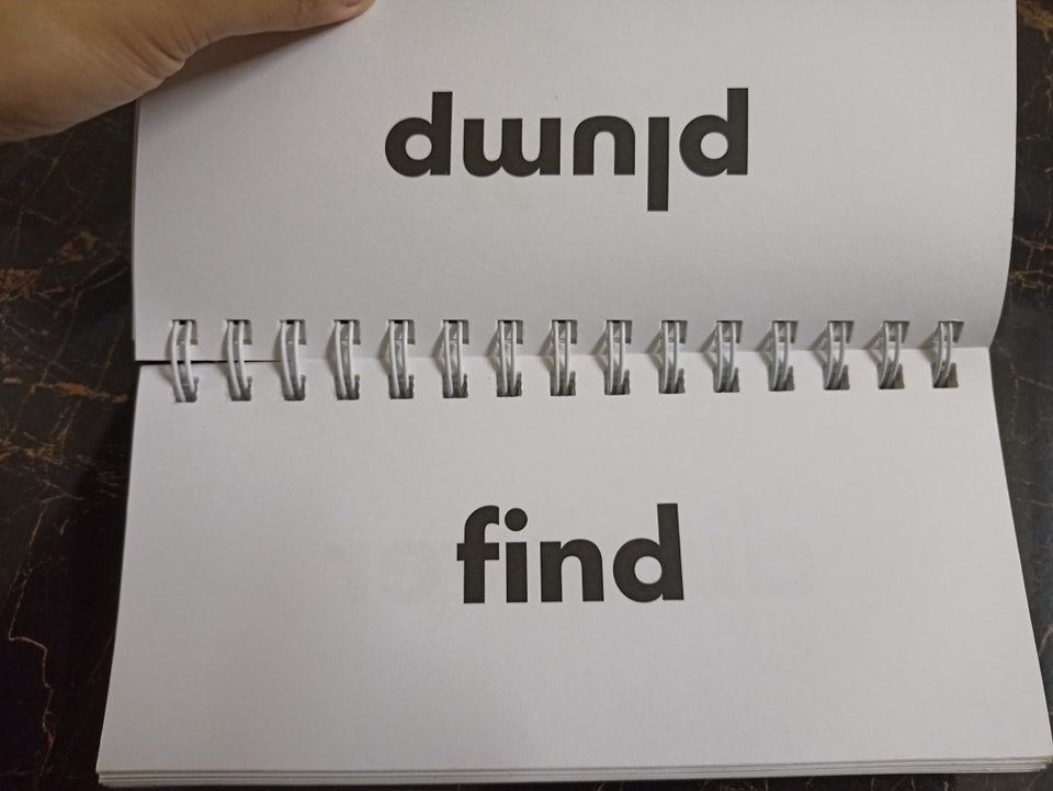 FLIP FLASH PHONICS (SYNONYMS)