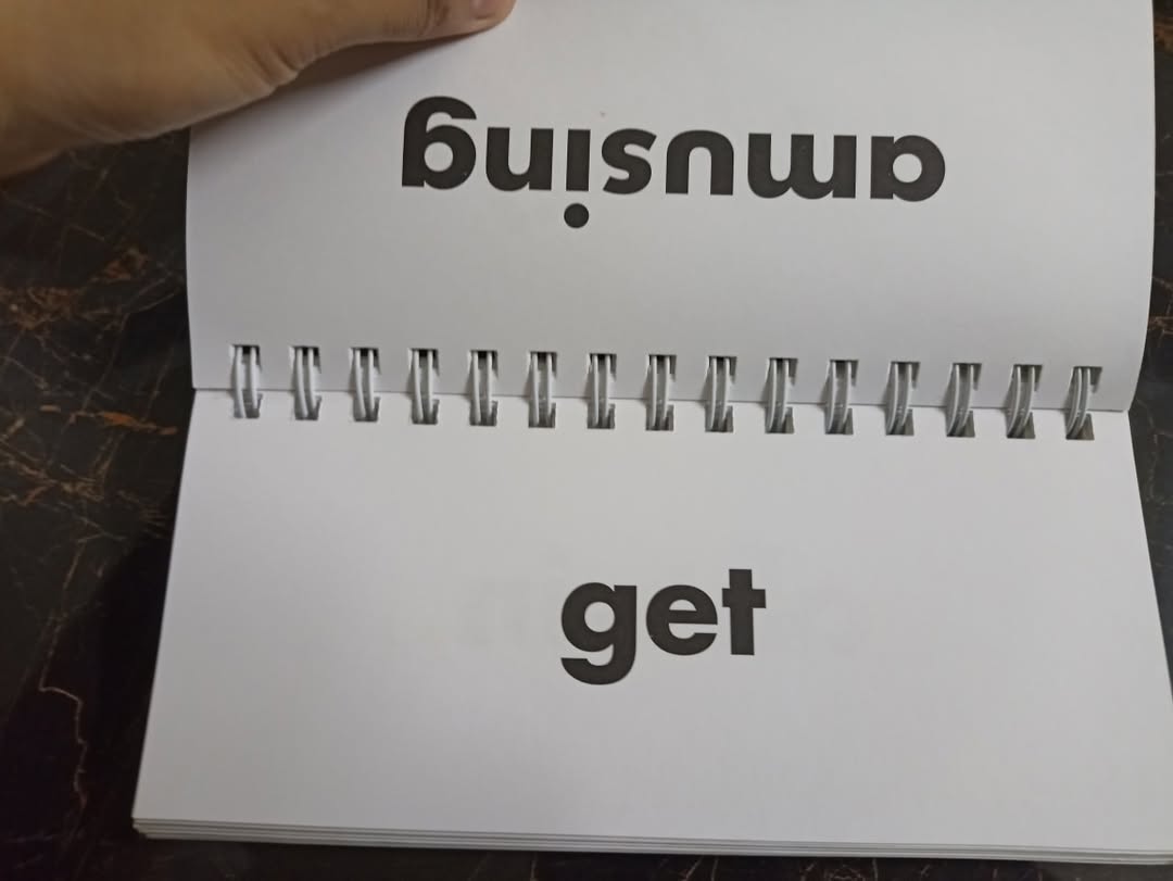 FLIP FLASH PHONICS (SYNONYMS)