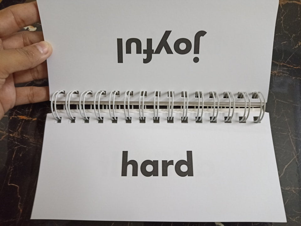 FLIP FLASH PHONICS (SYNONYMS)