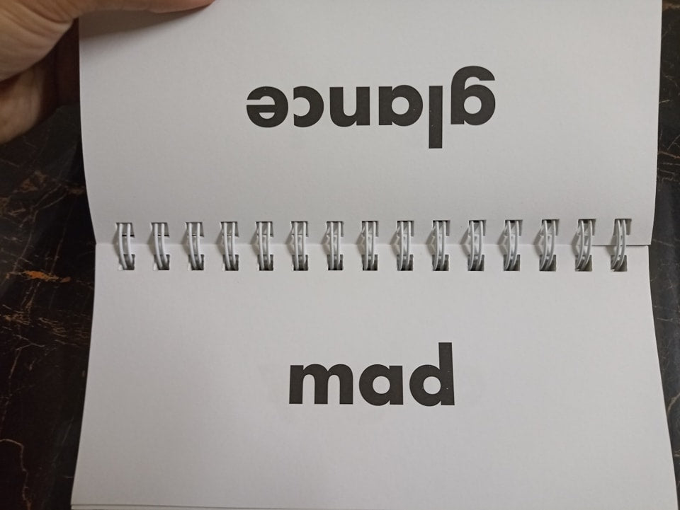 FLIP FLASH PHONICS (SYNONYMS)