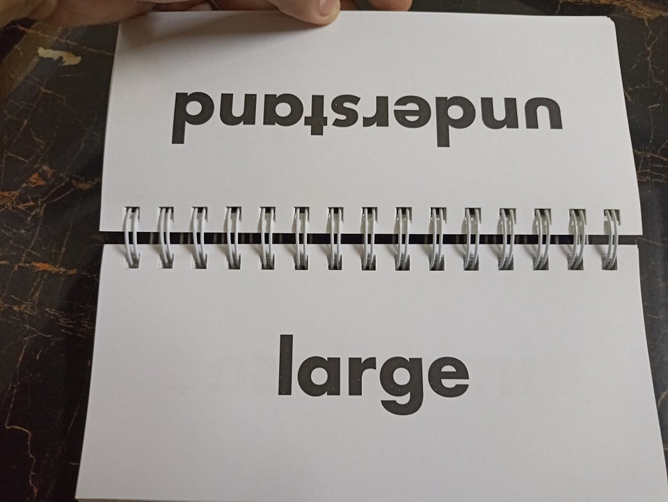 FLIP FLASH PHONICS (SYNONYMS)