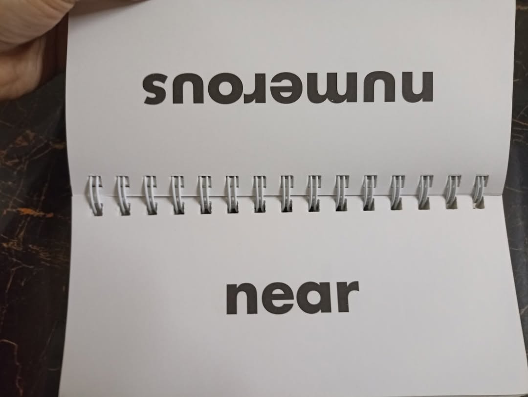 FLIP FLASH PHONICS (SYNONYMS)