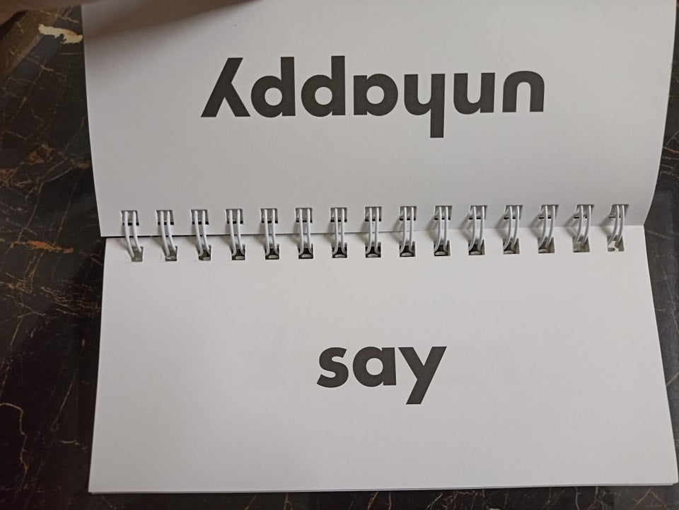 FLIP FLASH PHONICS (SYNONYMS)