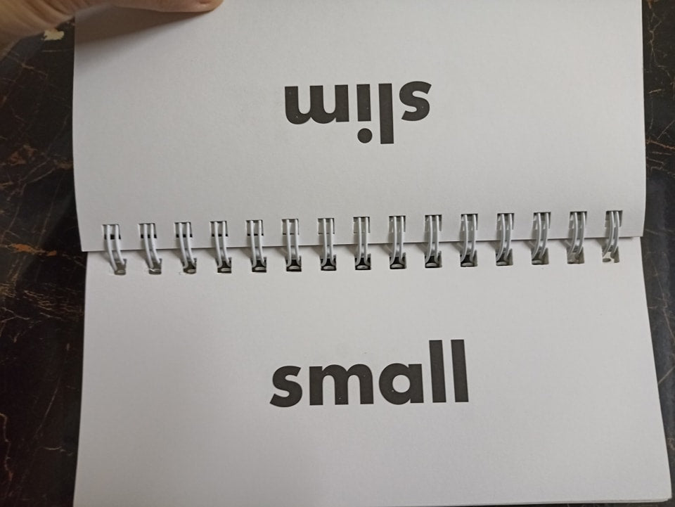 FLIP FLASH PHONICS (SYNONYMS)