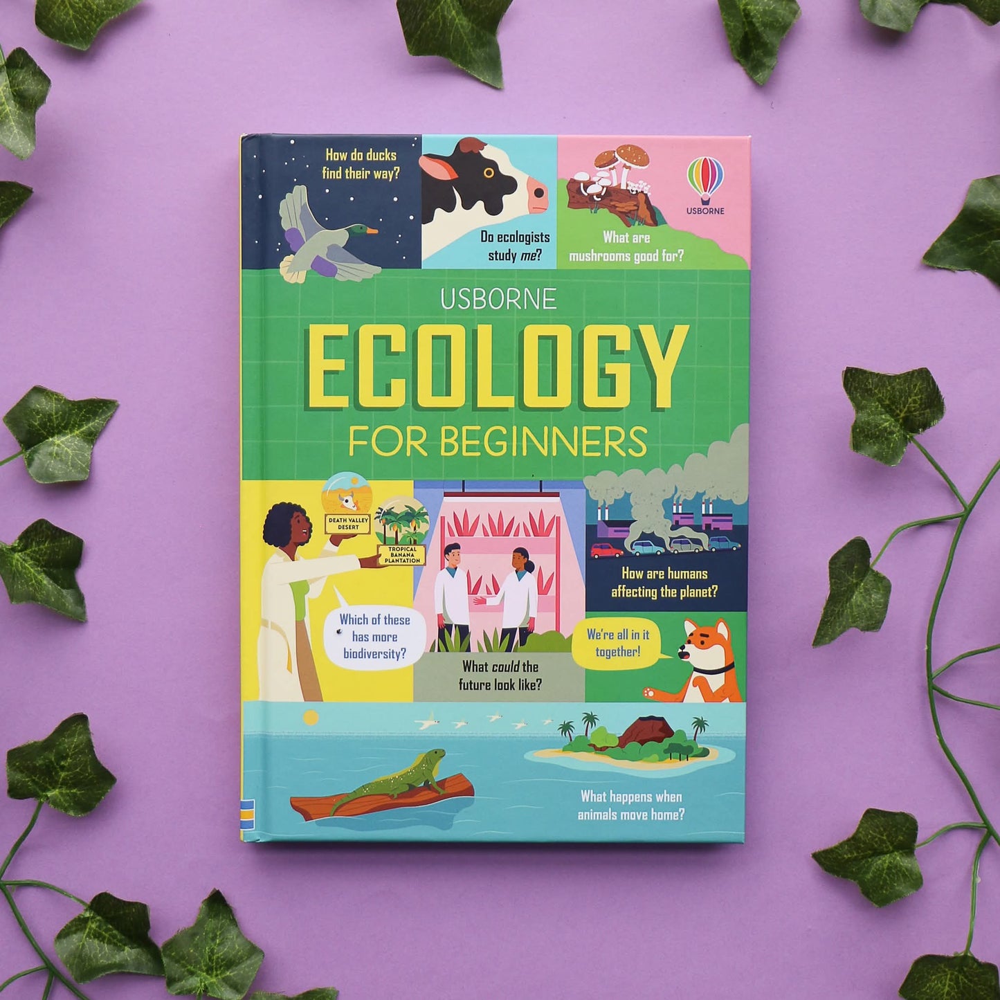ECOLOGY FOR BEGINNERS