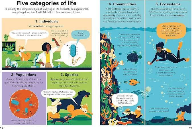 ECOLOGY FOR BEGINNERS