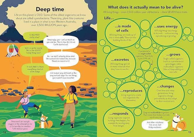 ECOLOGY FOR BEGINNERS