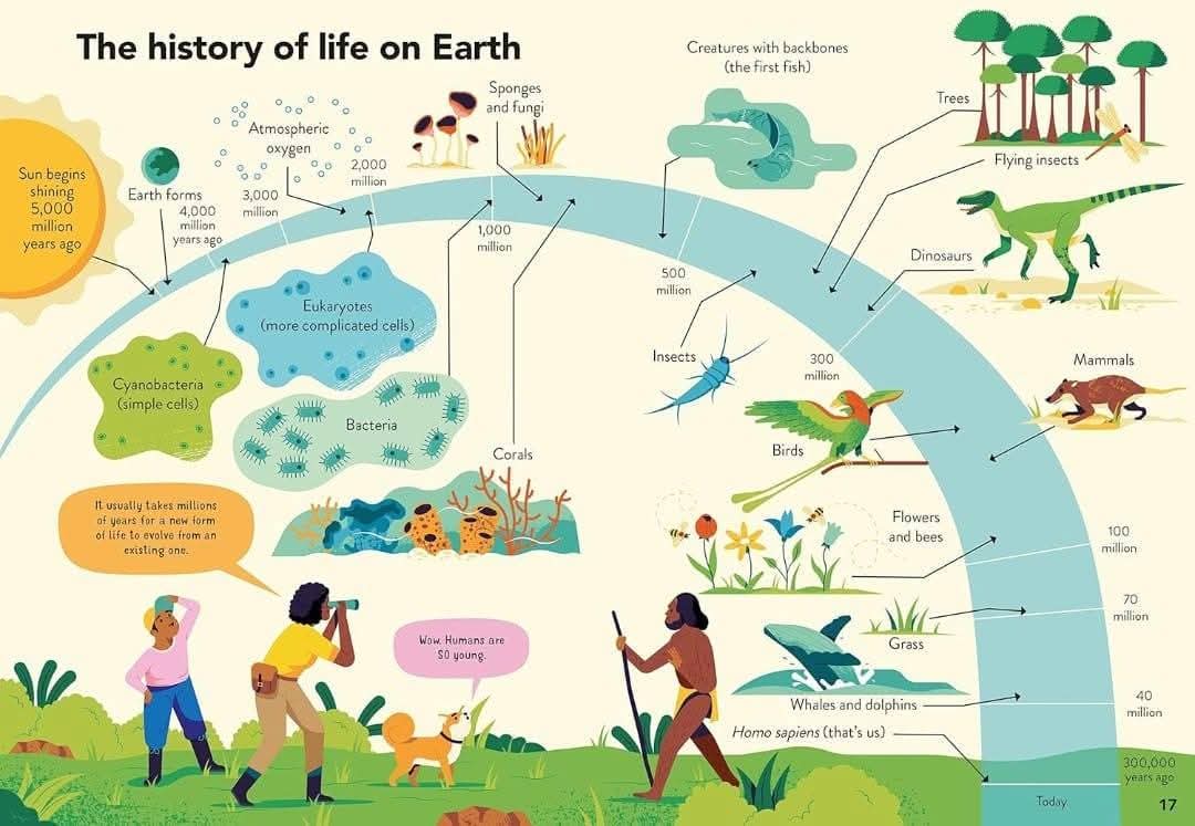 ECOLOGY FOR BEGINNERS