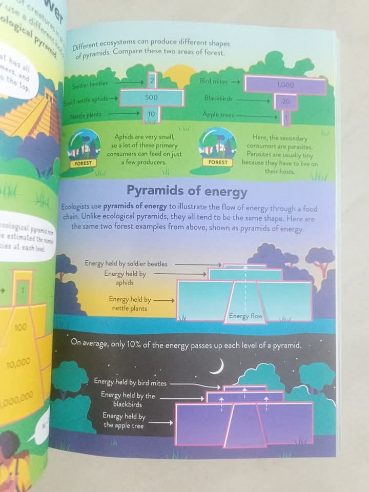 ECOLOGY FOR BEGINNERS