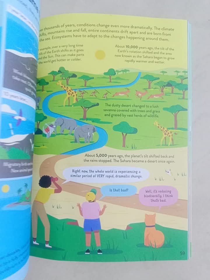 ECOLOGY FOR BEGINNERS