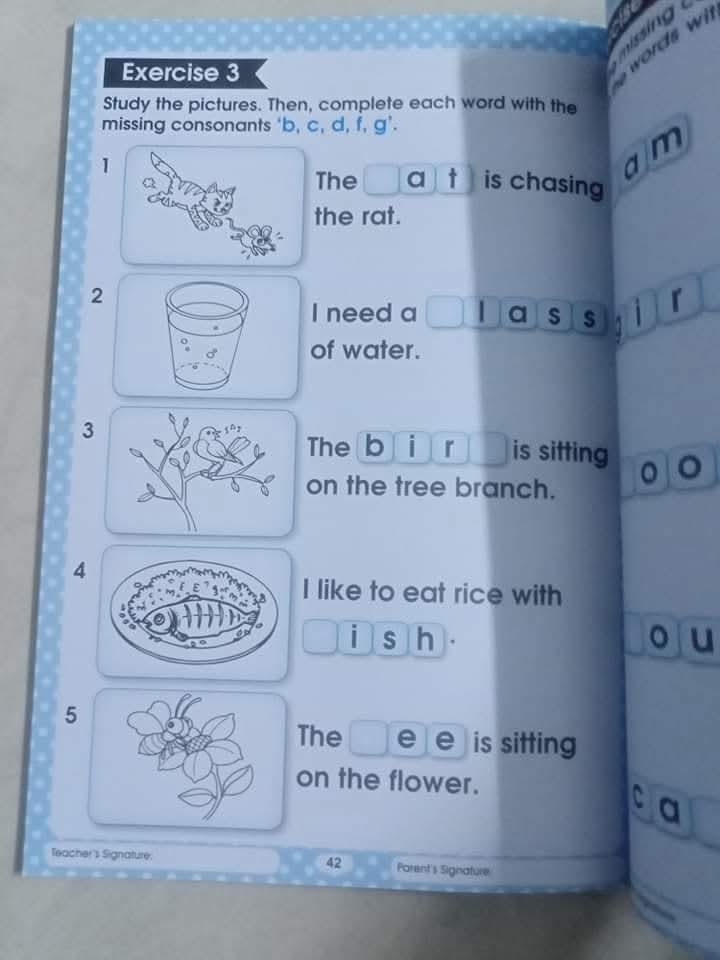 PHONIC MADE SIMPLE SET