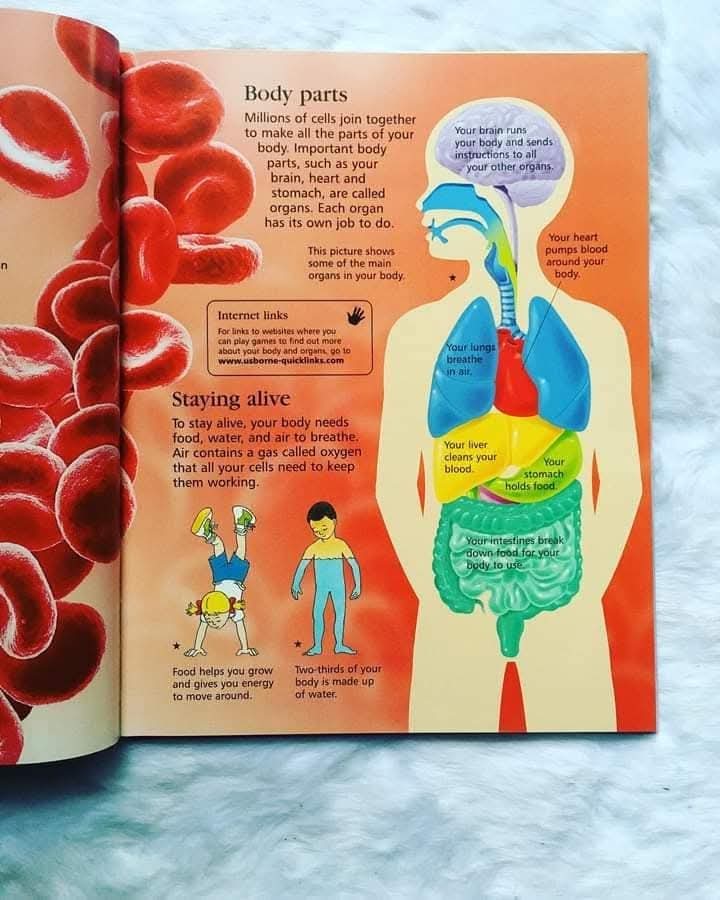 FIRST ENCYCLOPEDIA OF HUMAN BODY