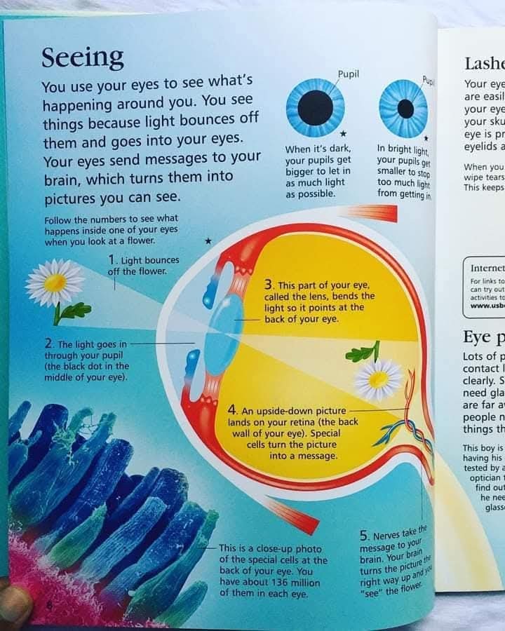 FIRST ENCYCLOPEDIA OF HUMAN BODY