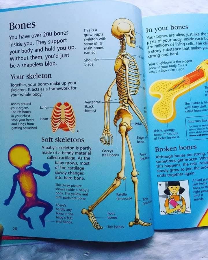 FIRST ENCYCLOPEDIA OF HUMAN BODY