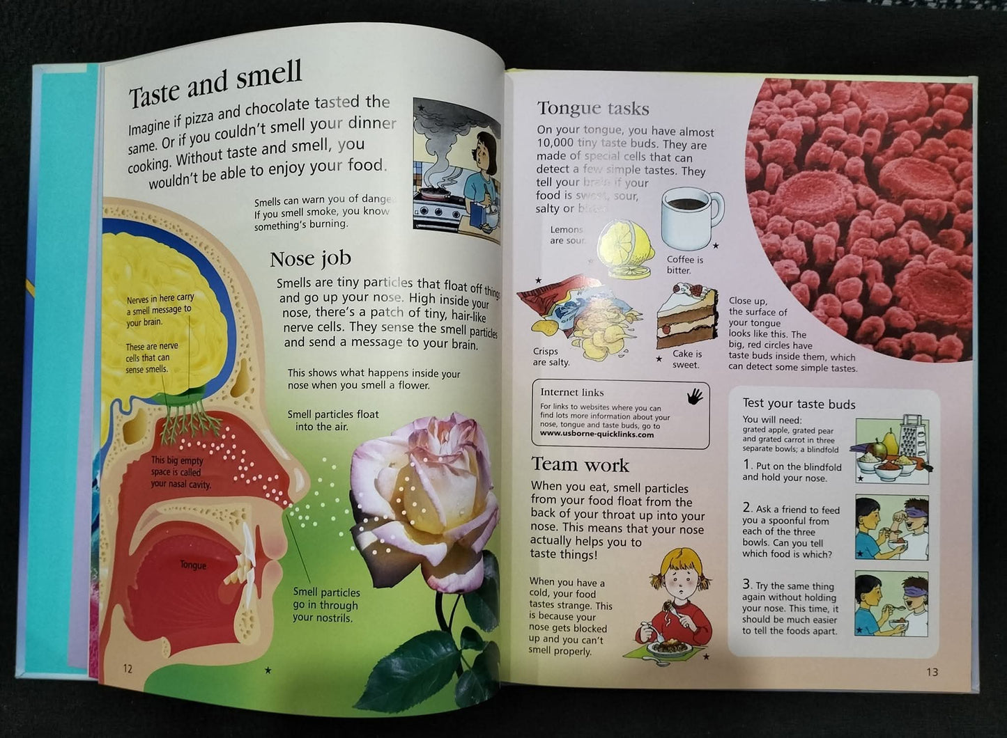 FIRST ENCYCLOPEDIA OF HUMAN BODY