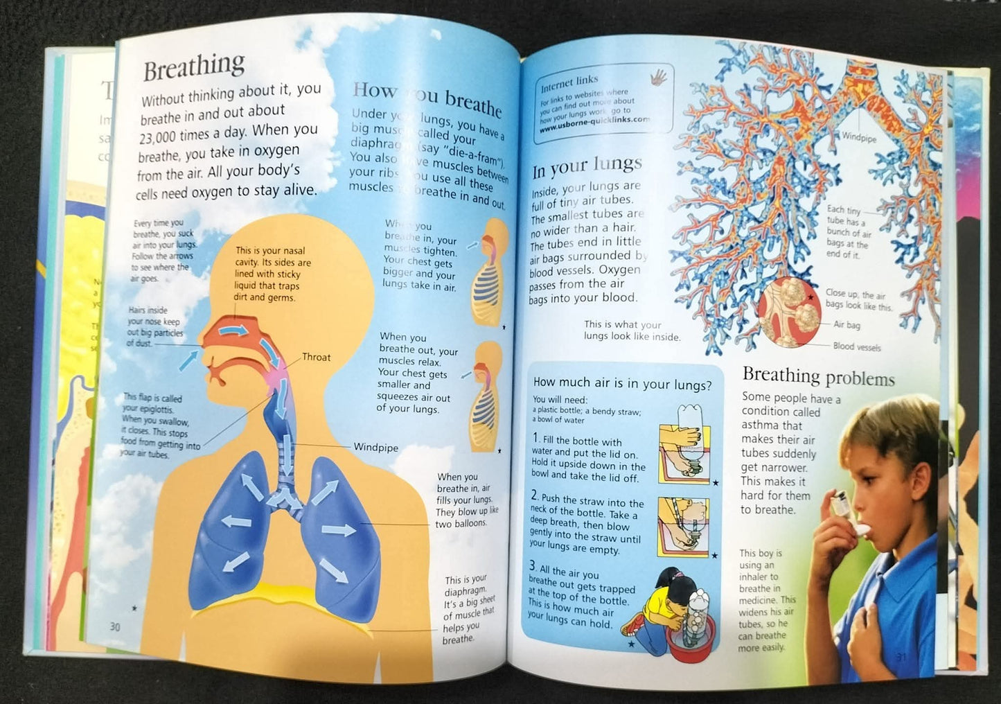 FIRST ENCYCLOPEDIA OF HUMAN BODY