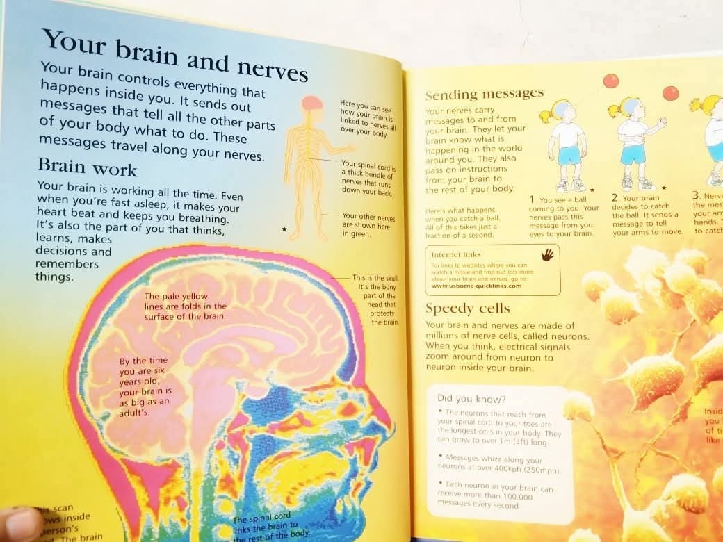 FIRST ENCYCLOPEDIA OF HUMAN BODY