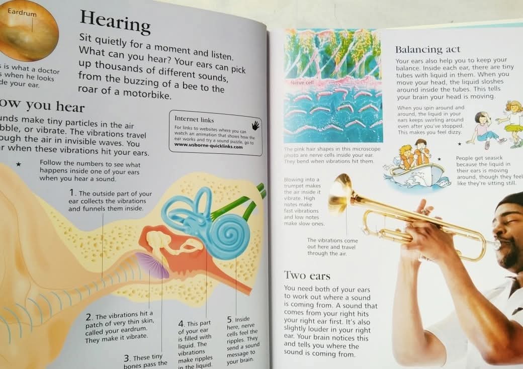 FIRST ENCYCLOPEDIA OF HUMAN BODY