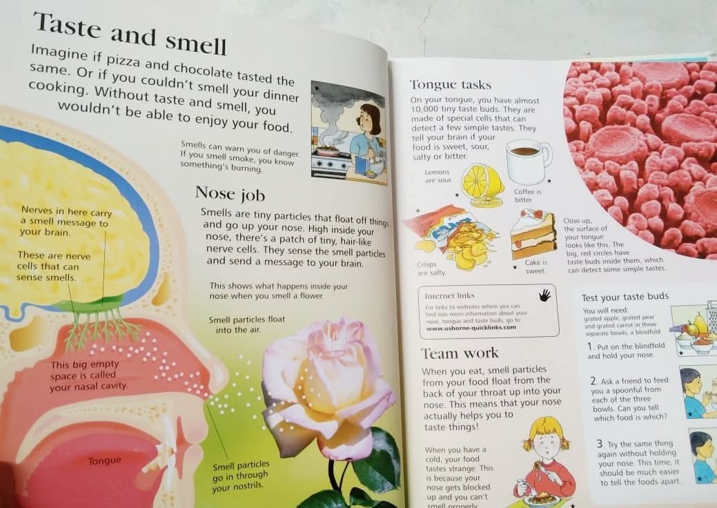 FIRST ENCYCLOPEDIA OF HUMAN BODY