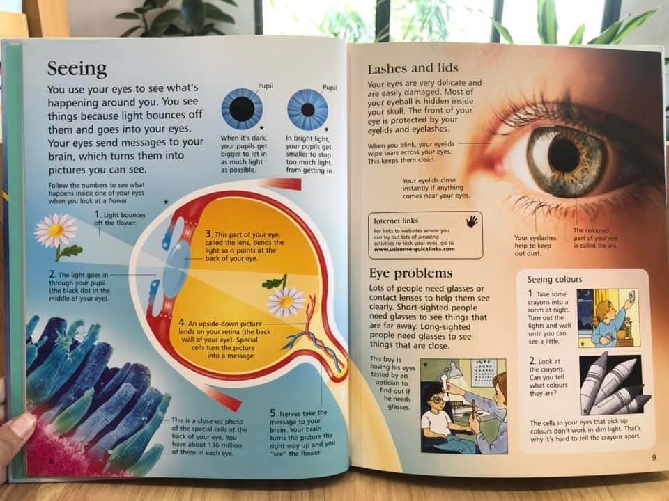 FIRST ENCYCLOPEDIA OF HUMAN BODY