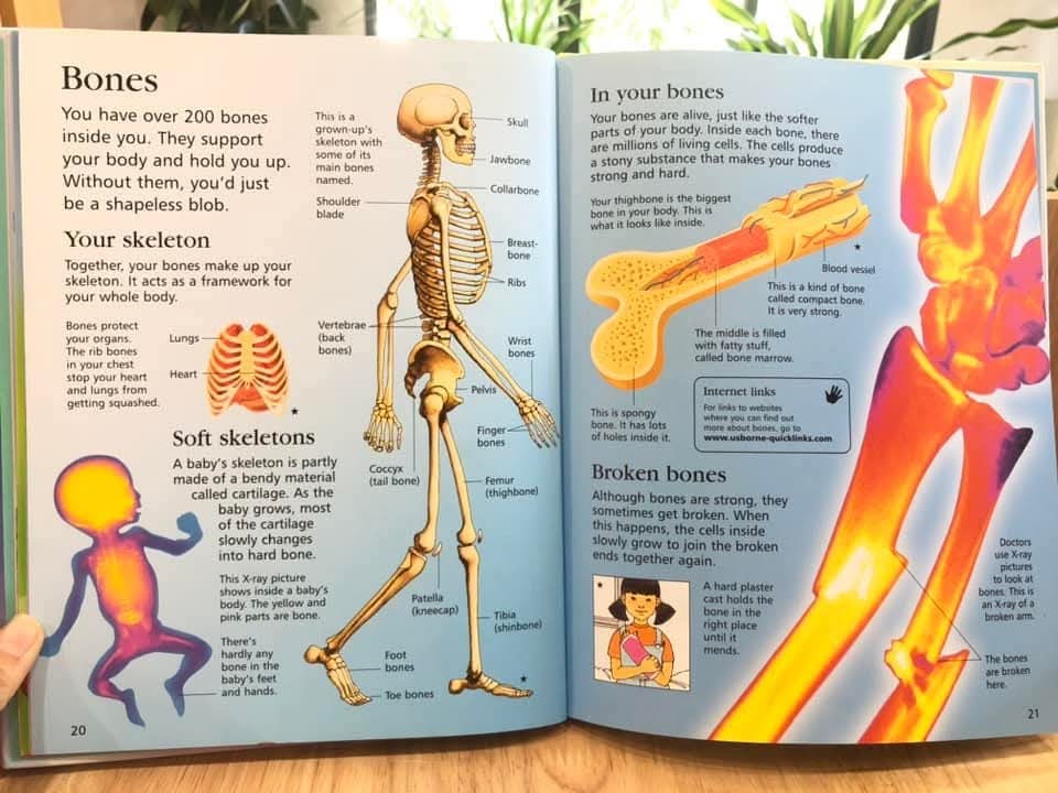 FIRST ENCYCLOPEDIA OF HUMAN BODY