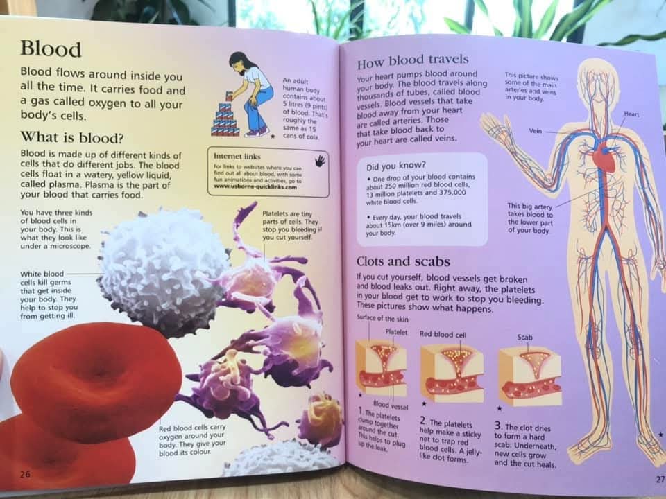 FIRST ENCYCLOPEDIA OF HUMAN BODY