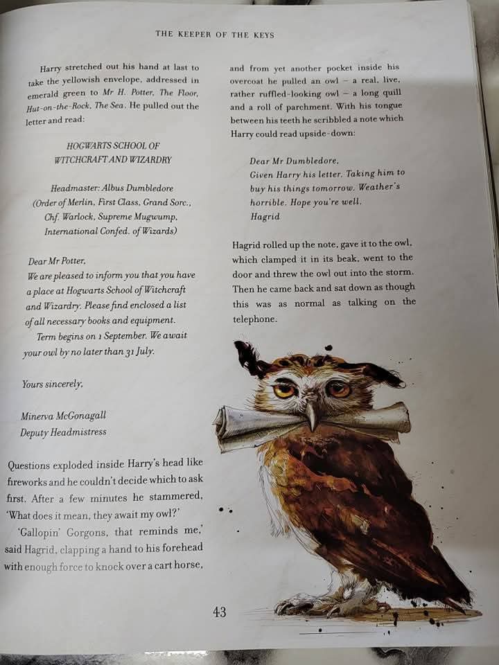 Harry Potter Illustrated (coloured,special) Edition