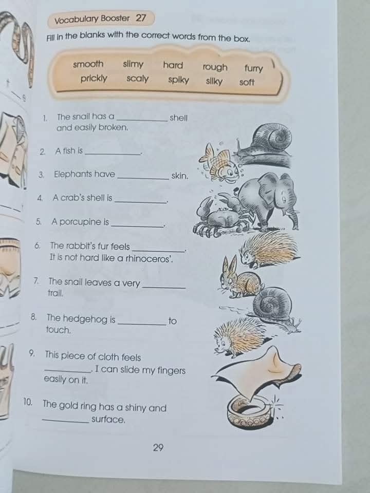 VOCABULARY BOOSTER  PRIMARY 2