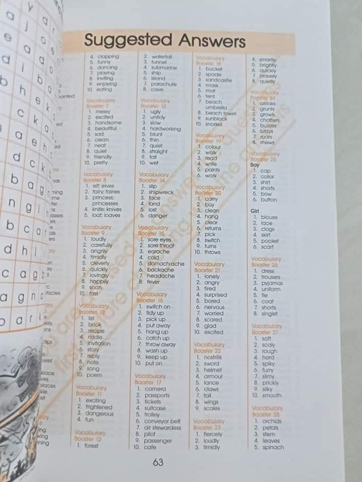 VOCABULARY BOOSTER  PRIMARY 2