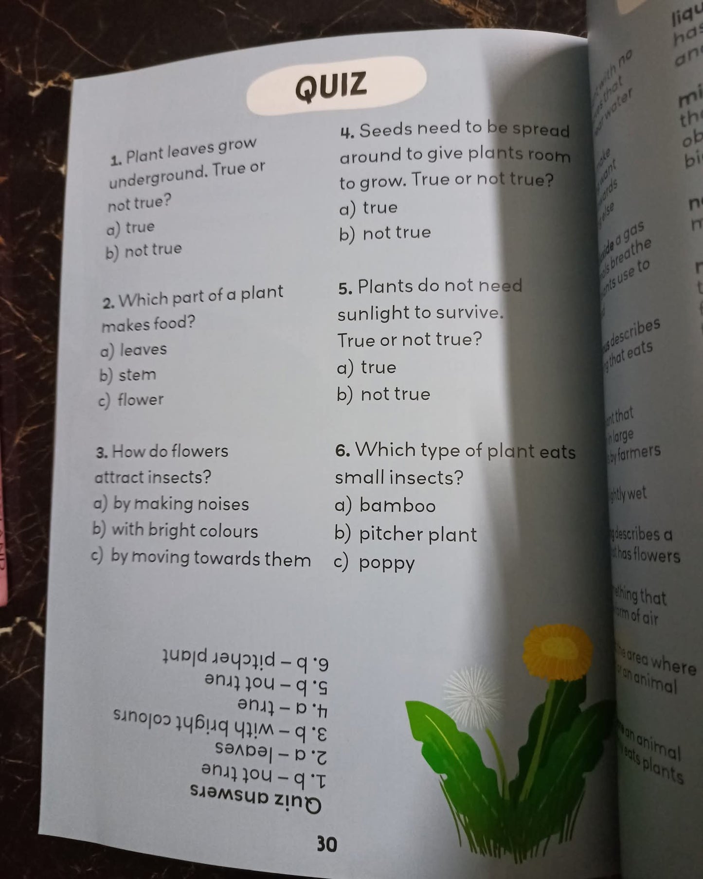 Q/A KIDS (PLANTS)