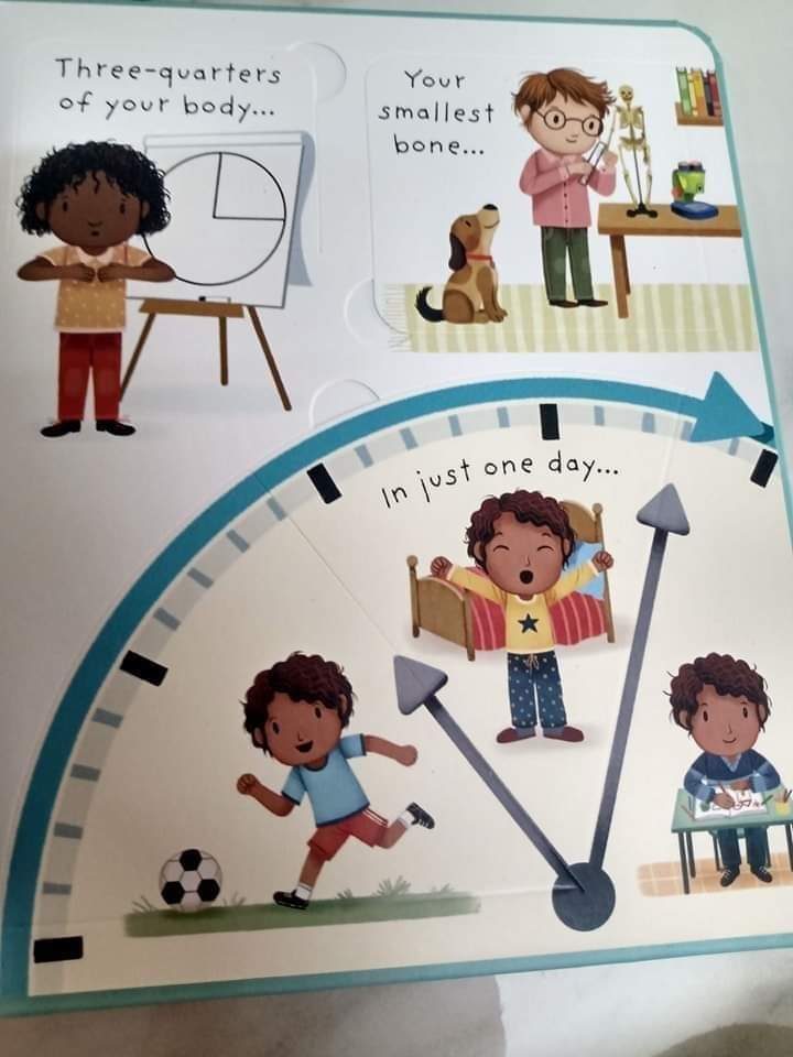 USBORNE VERY FIRST QUESTION ANSWER WHATS INSIDE ME