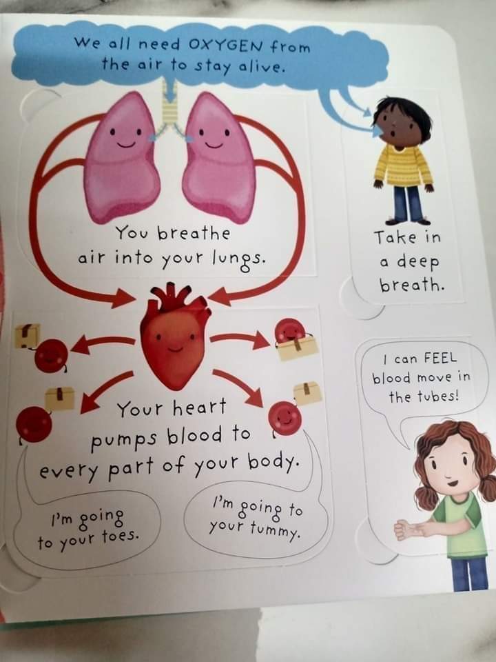 USBORNE VERY FIRST QUESTION ANSWER WHATS INSIDE ME