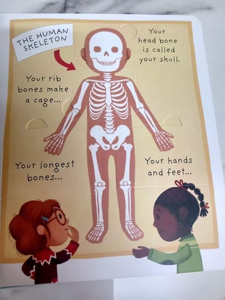 USBORNE VERY FIRST QUESTION ANSWER WHATS INSIDE ME