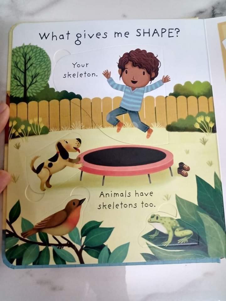 USBORNE VERY FIRST QUESTION ANSWER WHATS INSIDE ME