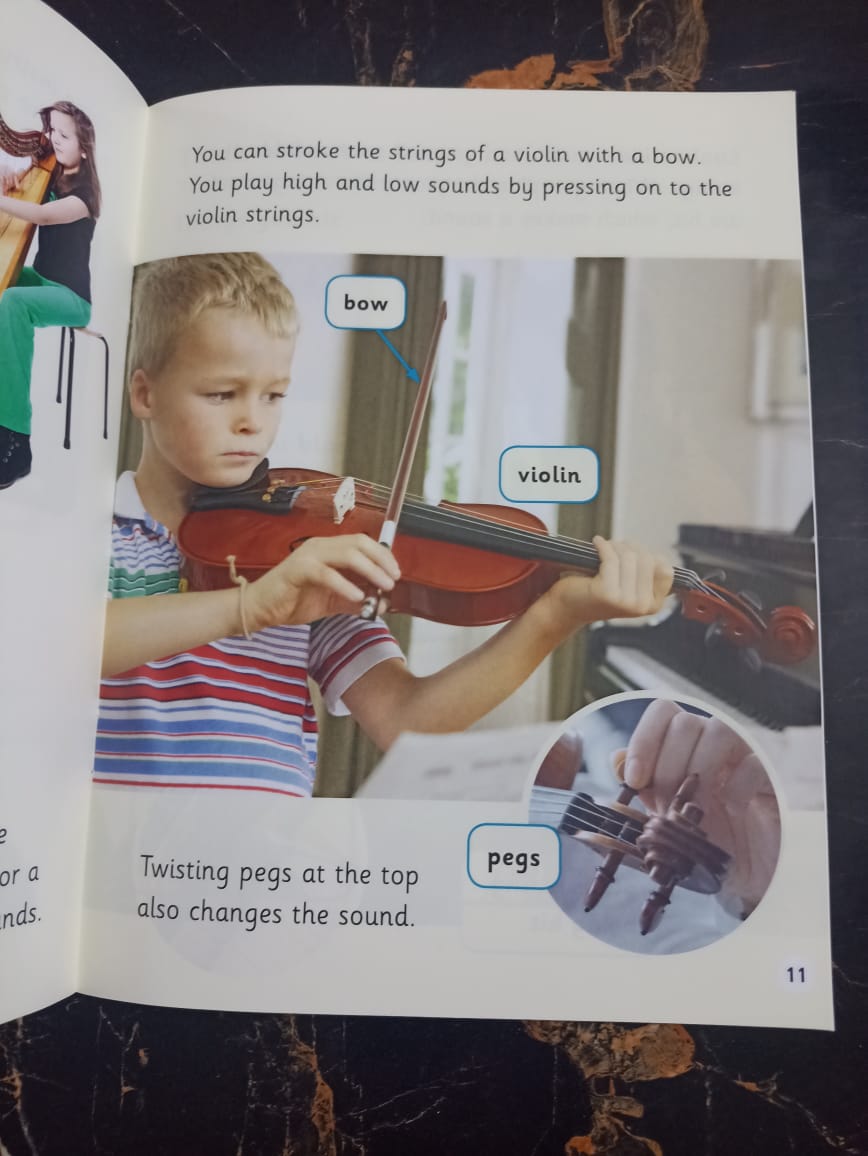 BOOK BAG BOOKS LEVEL 6