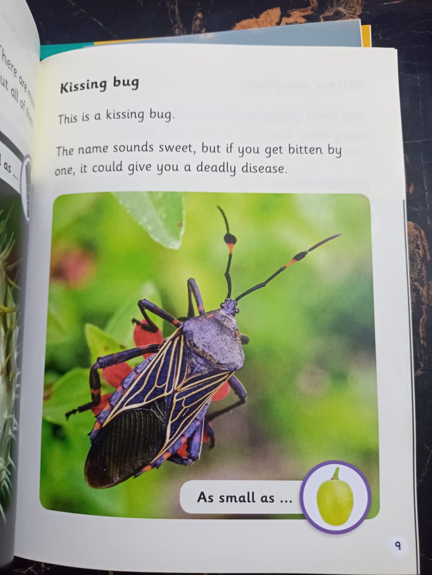 BOOK BAG BOOKS LEVEL 6